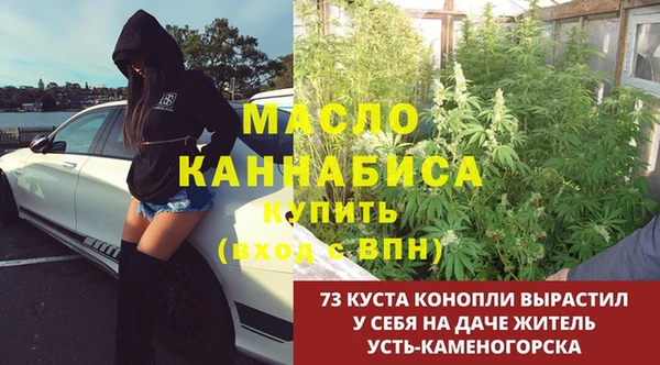 СК Богородск